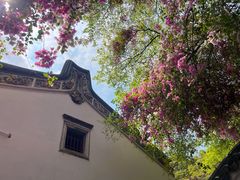 -深圳国际园林花卉博览园