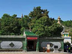 -塔尔寺菩提树