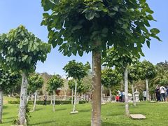 -三亚南山文化旅游区