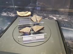-嘉荫恐龙国家地质公园