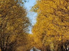 -野鸭湖国家湿地公园