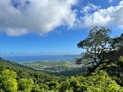 -三亚亚龙湾金棕榈度假酒店