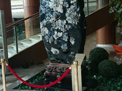 android_upload_pic-上海千禧海鸥大酒店