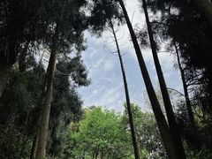 -广州市白云山风景名胜区