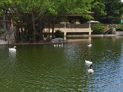 -深圳野生动物园
