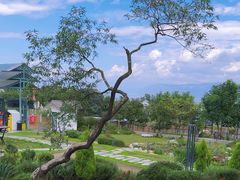 -云禾壹海景庄园餐厅