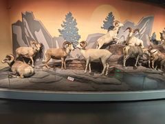 -陕西自然博物馆