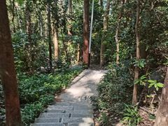 -水濂山森林公园