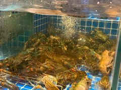 -熊记虾王·小龙虾(东晓南店)