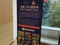 -上海佘山世茂艾美酒店