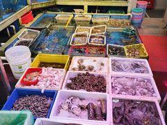 -东江海鲜大排档·潮汕菜·砂锅粥