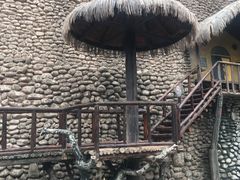 -呀路古热带植物园