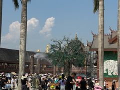 -西双版纳傣族园