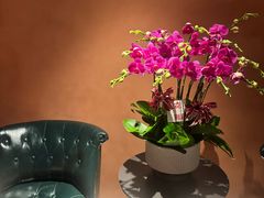 -霖公馆SPA·足道(普善路店)