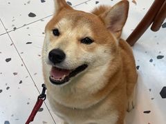 -爱诺耐芙动物医院(万博店)