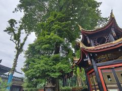 -峨眉山报国寺