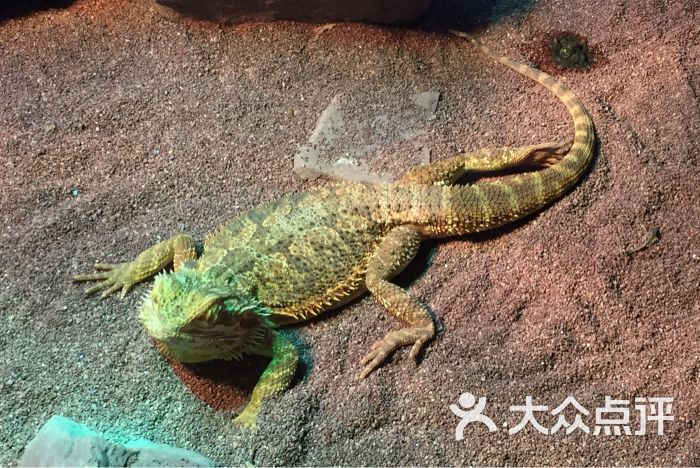 广州长隆飞鸟乐园图片 - 第5张