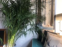 -CLUB心邸·掼蛋·麻将·扑克(日坛店)