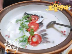 -全乐鱼馆·淳牌有机鱼直营店