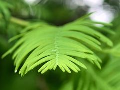 -滨湖塘西河公园