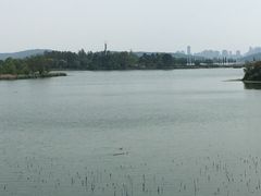 -东湖落雁景区