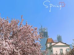 -天津五大道文化旅游区