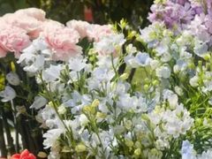 -北京山里寒舍度假酒店