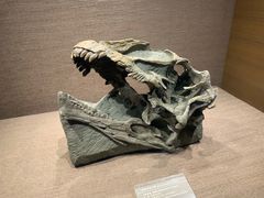 -自贡恐龙博物馆