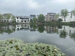 -东梓关景区村庄