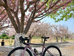 -济南国际园博园