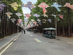 -日照海滨国家森林公园