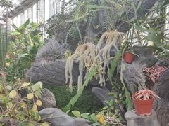 -北京植物园-展览温室