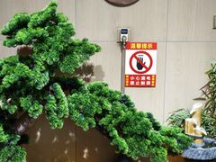 -津可佳·和树银海杂粮