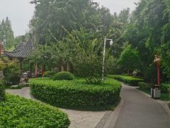 -郑和公园
