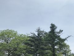 -沂蒙山旅游区云蒙景区(蒙山国家森林公园)