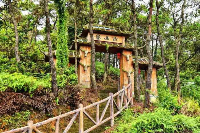 泰康山生态旅游度假区"在佛山不是很出名,所以人不会很多.自己开.