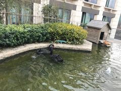 -行者书屋大堂吧 ·下午茶(南京圣和府邸酒店)