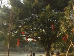 -南国桃园旅游度假区