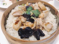 云耳清远雞籠仔蒸飯-金苑海鲜酒家(来魅力店)