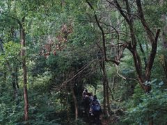 -青龙山国家森林公园