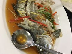 -光海鲜鱼翅餐厅(叻差拉披色路店)