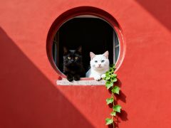 -闪电修企业手机电脑回收(西湖风景名胜区店)