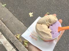 -Dip in Gelato(富民路店)