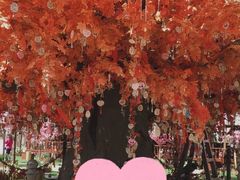 -郑州方特梦幻王国