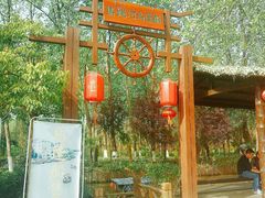 -合肥滨湖国家森林公园