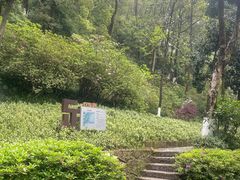 -重庆平顶山公园