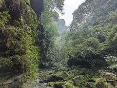 -碧峰峡风景区