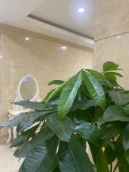 -重庆军科整形美容医院