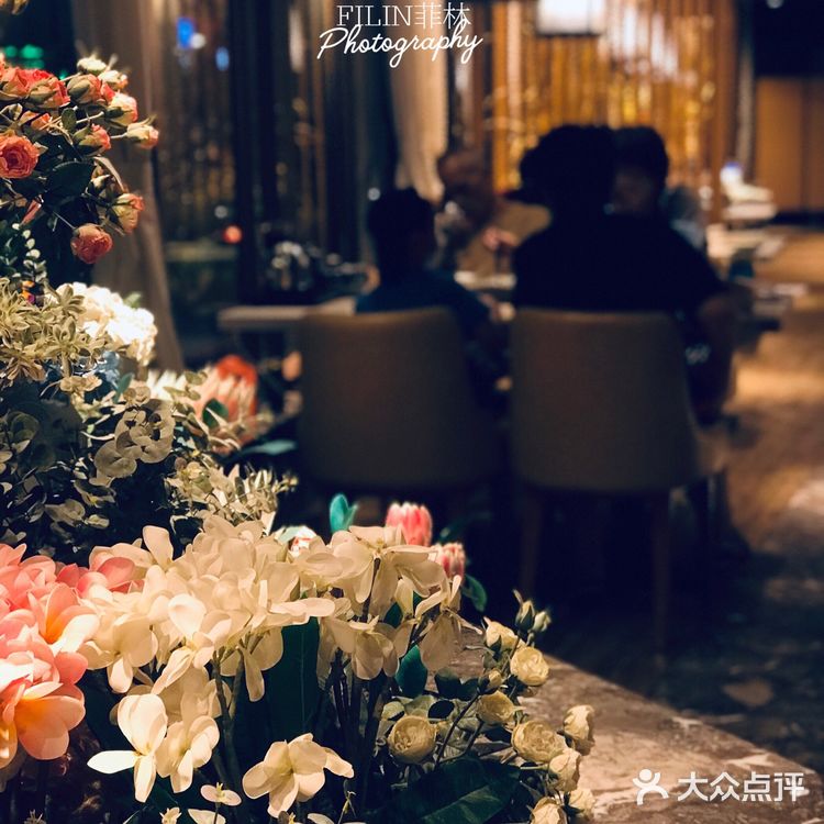 广州 | 必吃榜老字号粤菜喝茶-天上飞的鸽鸽-地下花园式体验