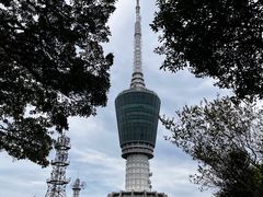 -梧桐山风景名胜区